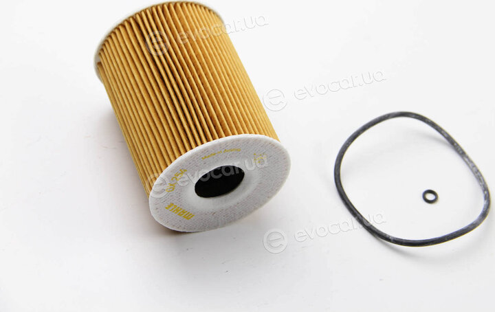 Mahle OX 254D1