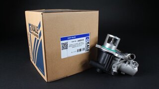 Kale 348910