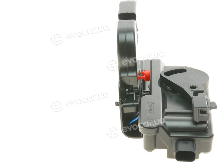 Solgy 305067