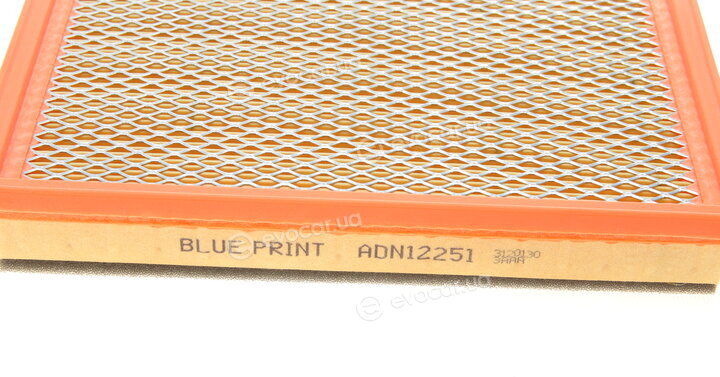 Blue Print ADN12251