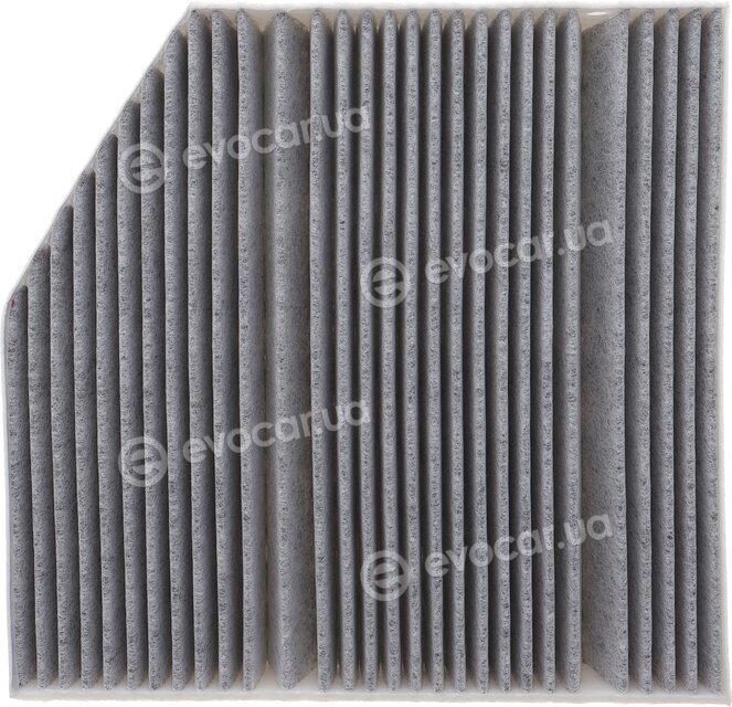 Solgy 104151