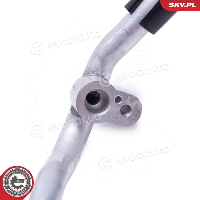 SKV 43SKV581