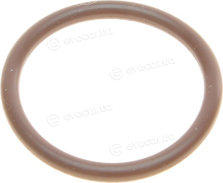 Solgy 112078