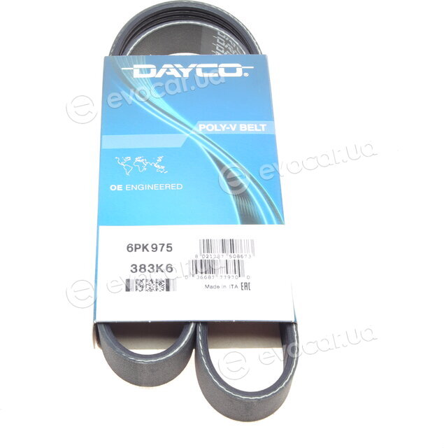 Dayco 6PK975