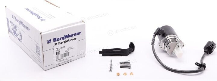 BorgWarner DS118622