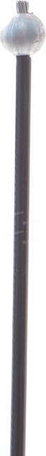 Solgy 219035