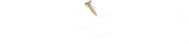 AIC 55481