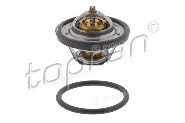 Topran 300 813