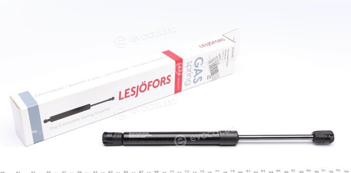 Lesjofors 8137241