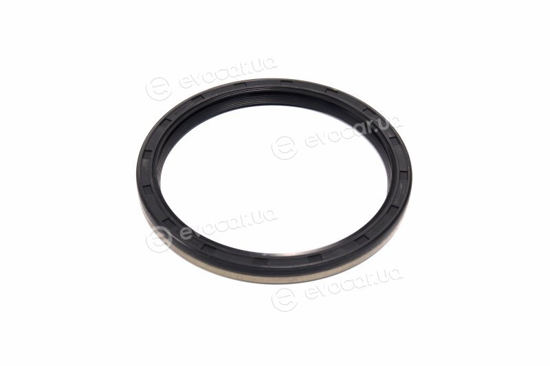 Elring 561.960