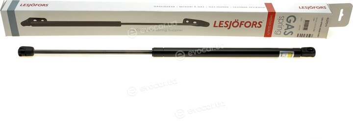 Lesjofors 8127571