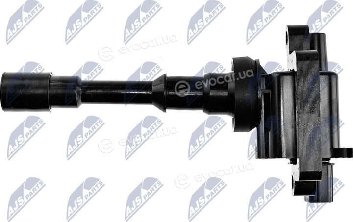 NTY ECZ-MS-005