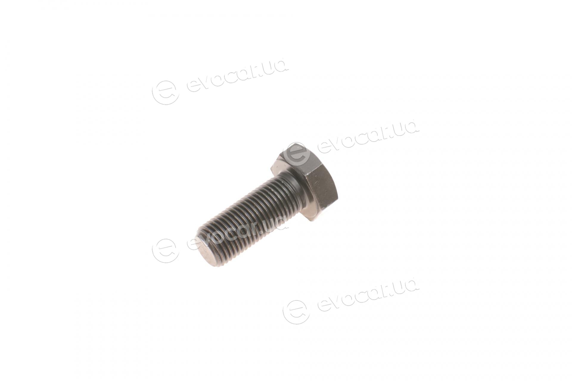 Blue Print ADT38676