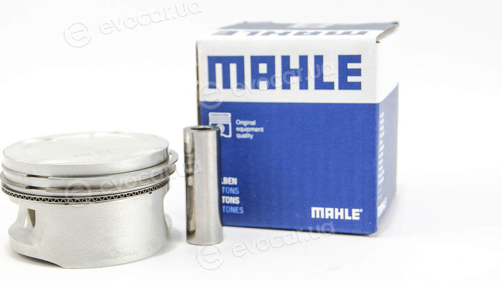 Mahle 011 69 02