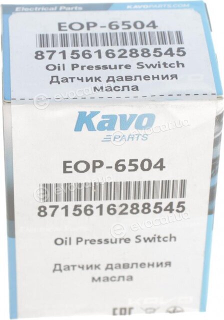 Kavo EOP-6504