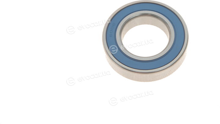 PFI 6006-2RS C3