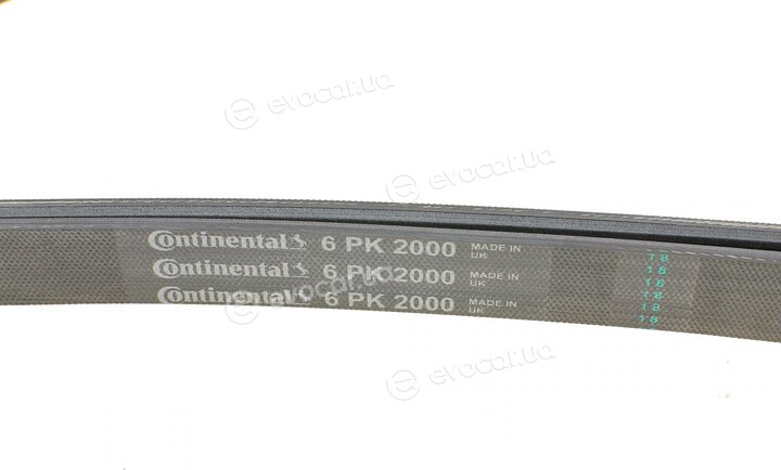 Continental 6PK2000