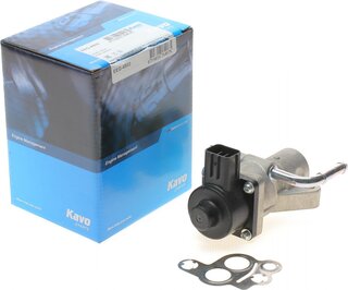Kavo EEG-4502
