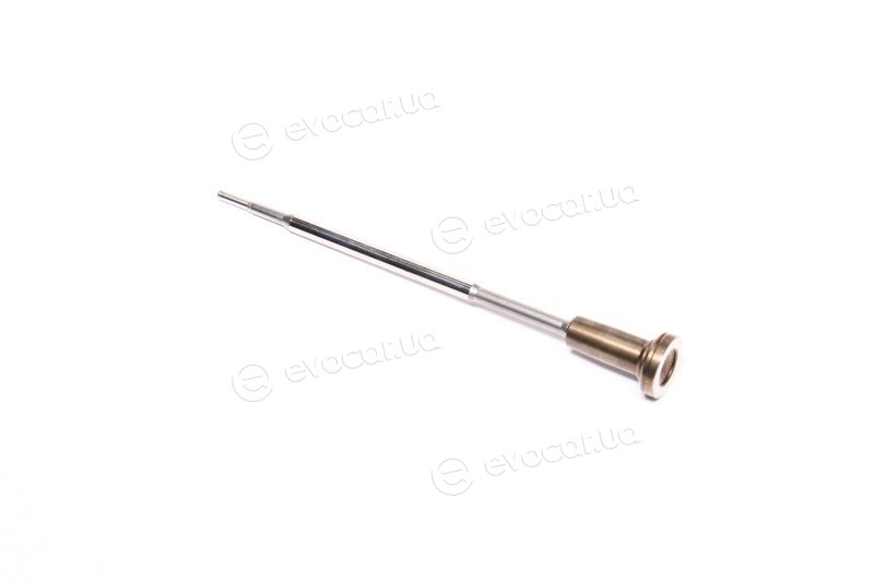 Bosch F 00V C01 313