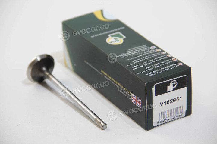 BGA V162951