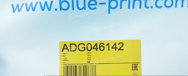 Blue Print ADG046142