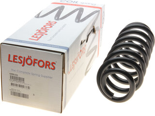 Lesjofors 4295151