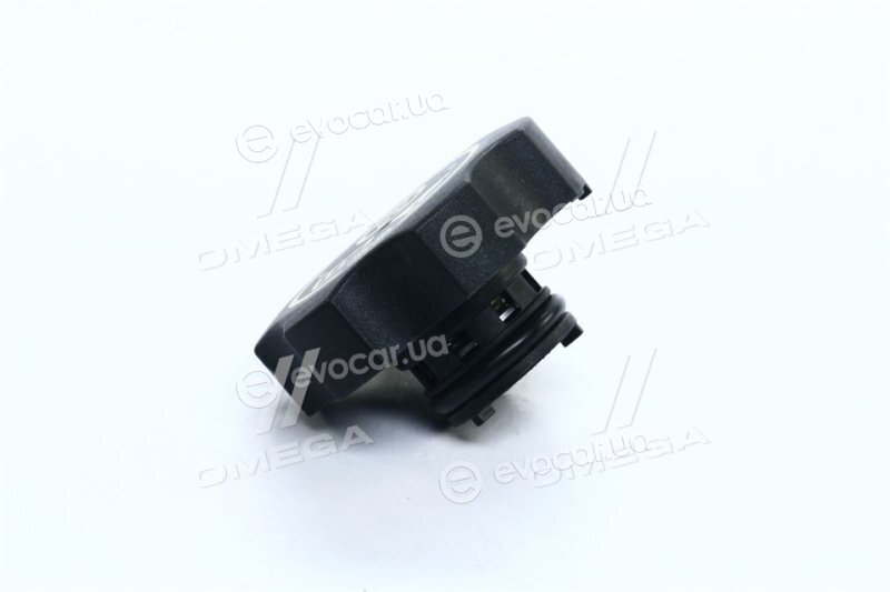 Blue Print ADG09928