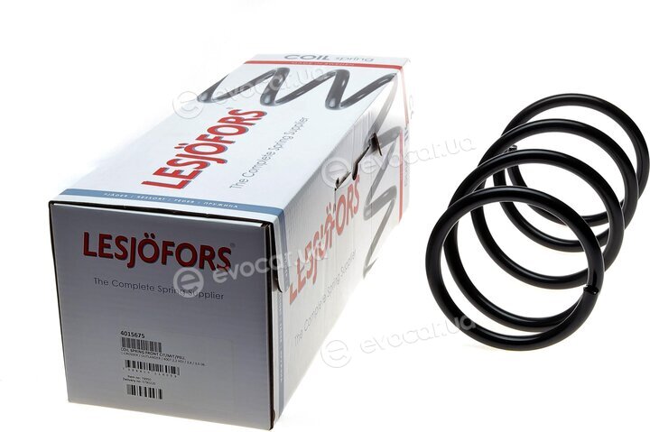 Lesjofors 4015675