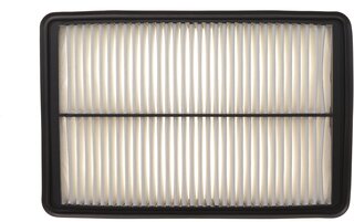 Solgy 103182