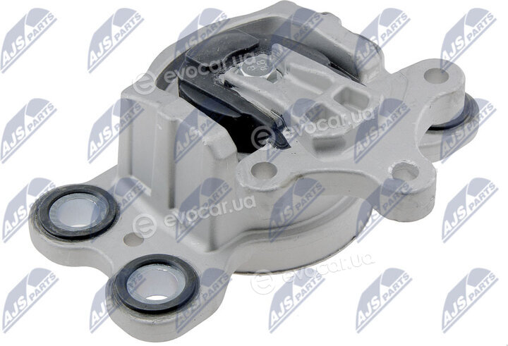 NTY ZPS-VV-006