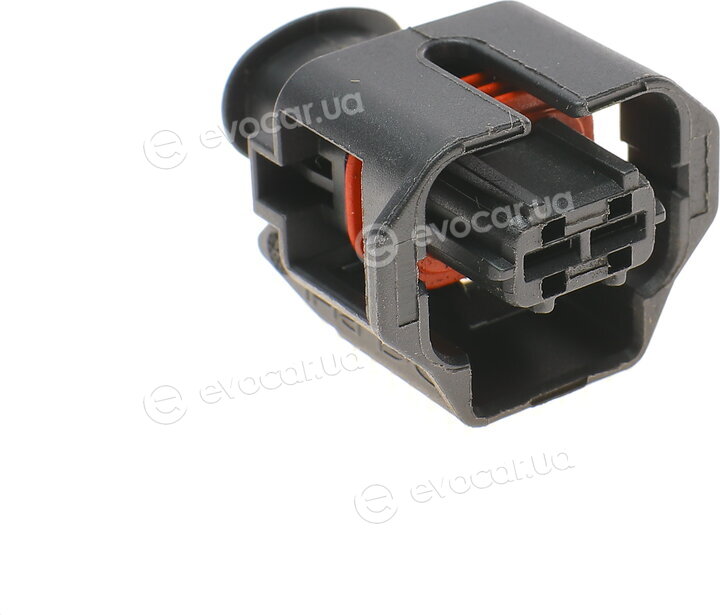 Solgy 412008