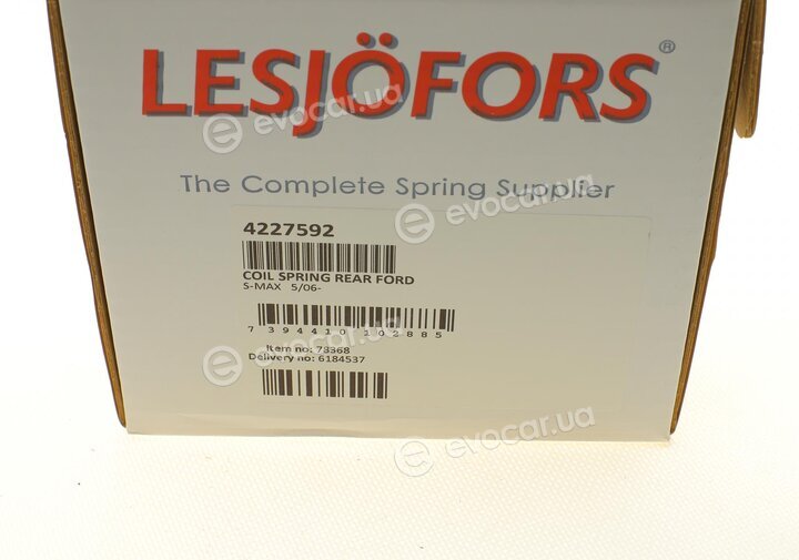 Lesjofors 4227592