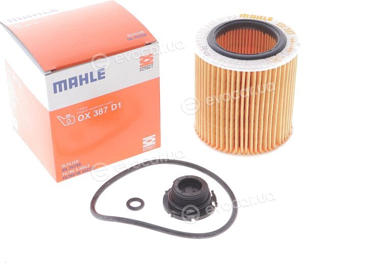 Mahle OX 387D1