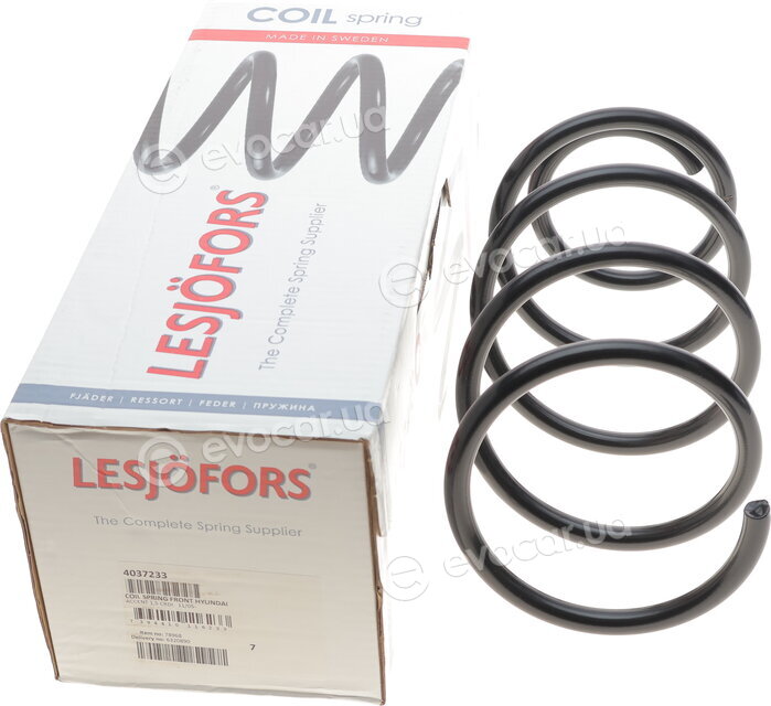 Lesjofors 4037233