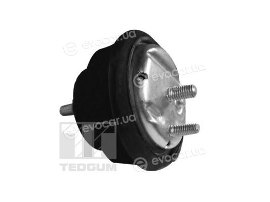 Tedgum 89778