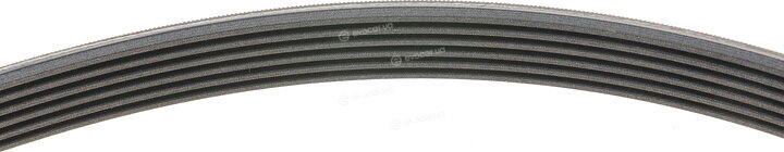 Continental 6PK2145