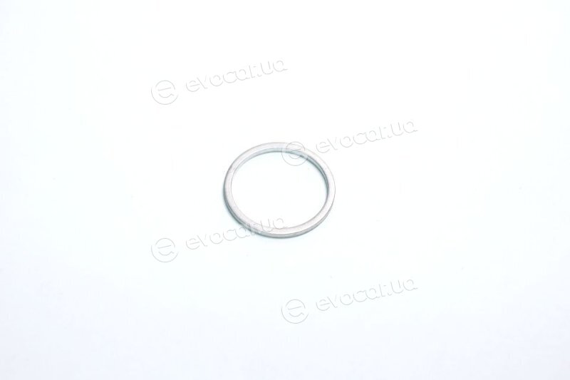 Elring 079.820