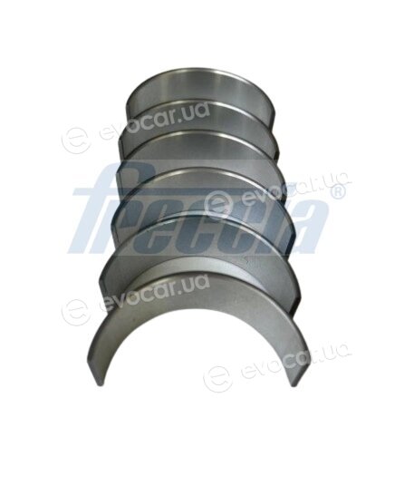 Freccia CR19-103100