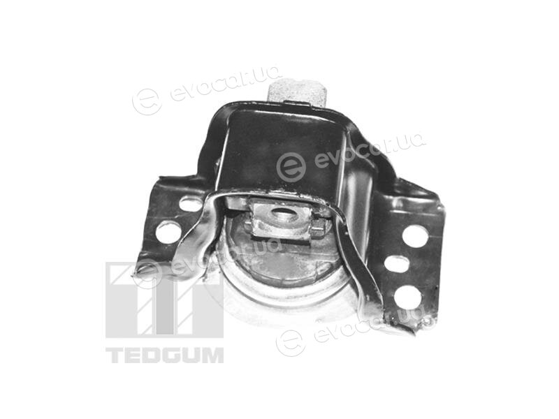 Tedgum TED59889