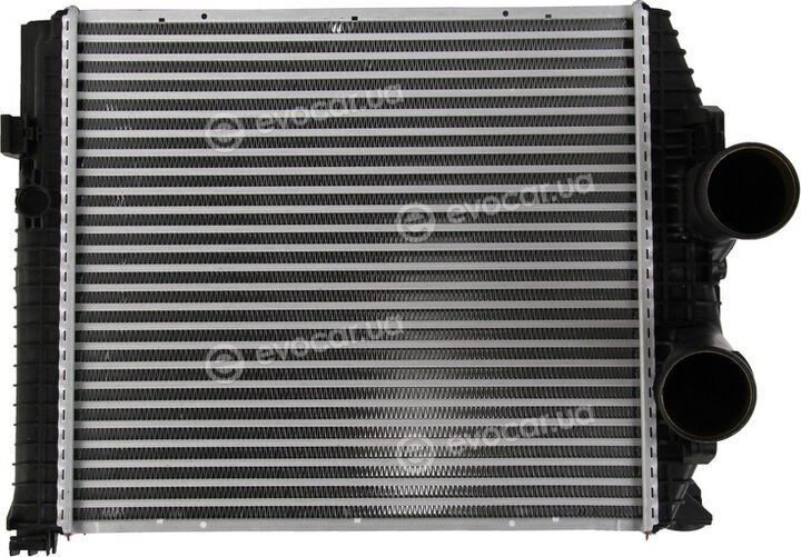 Mahle CI 114 000P