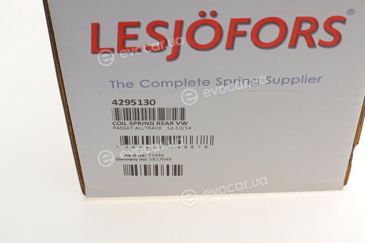Lesjofors 4295130