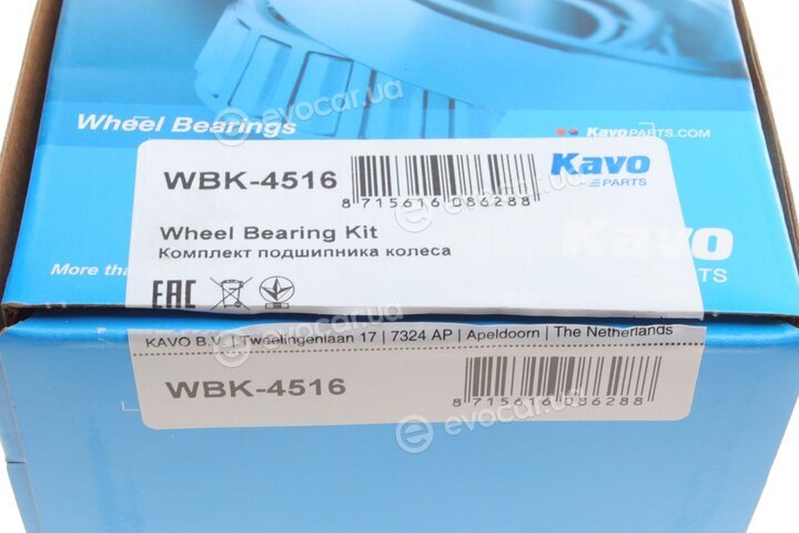 Kavo WBK-4516