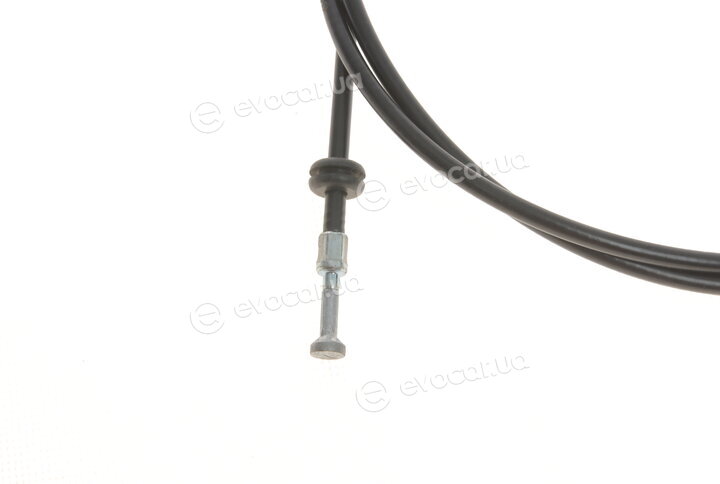 Solgy 305022