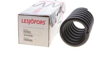 Lesjofors 4027568