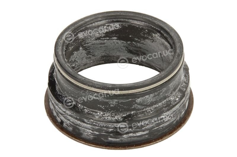 Elring 598.080