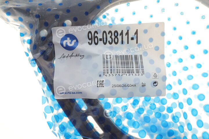 RTS 96-03811-1