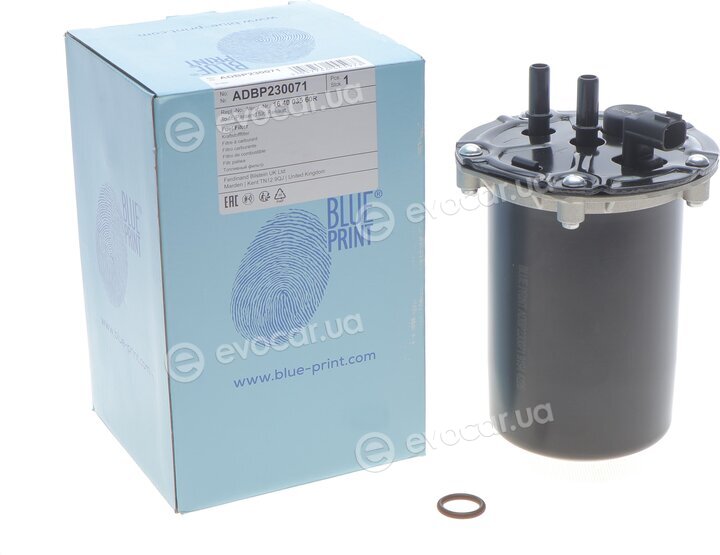 Blue Print ADBP230071