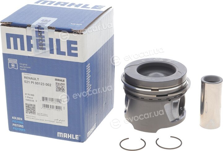 Mahle 021 PI 00123 002