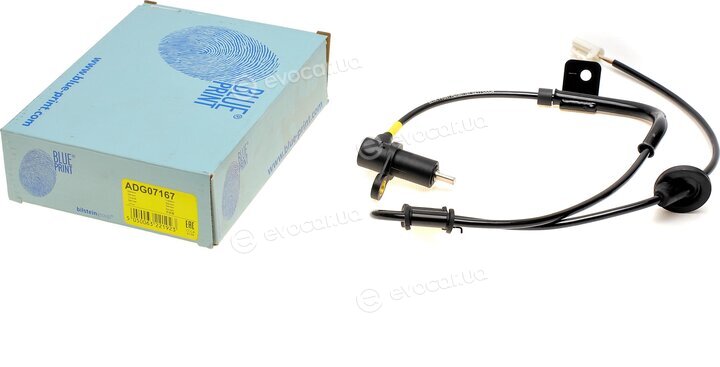 Blue Print ADG07167