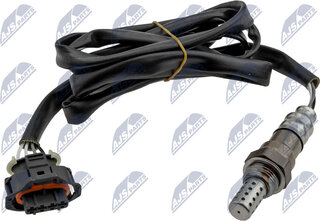 NTY ESL-PL-019